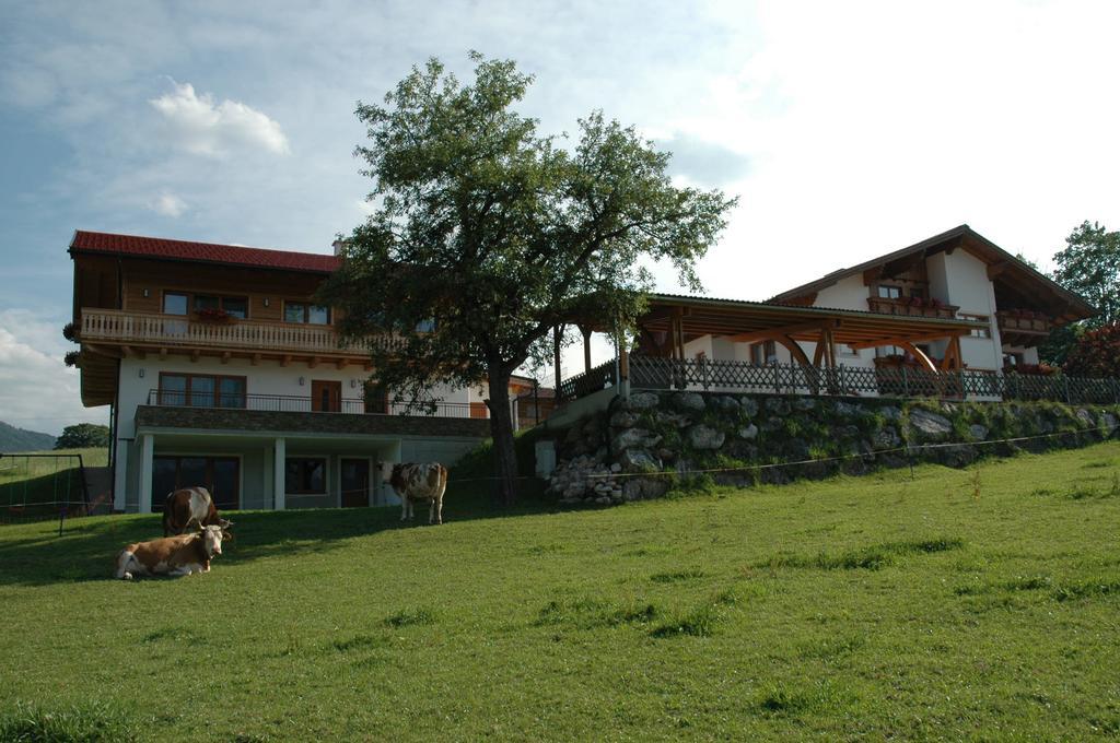 Ferienhaus U. Appartement Knauss Schladming Esterno foto